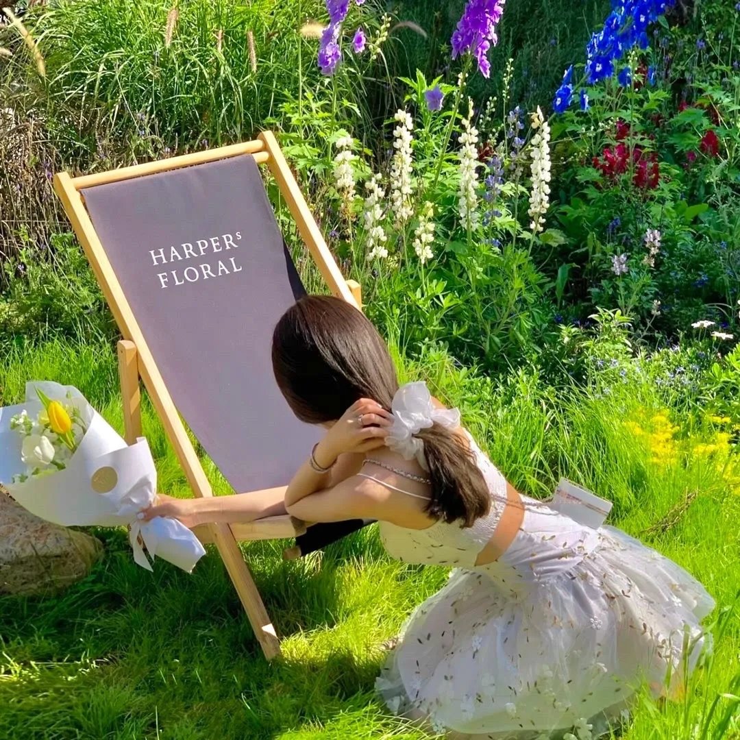 不易亲近的姐姐和狡猾的妹妹